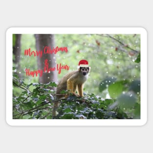 Black-capped squirrel monkey - Merry Christmas & Happy New Year Sticker